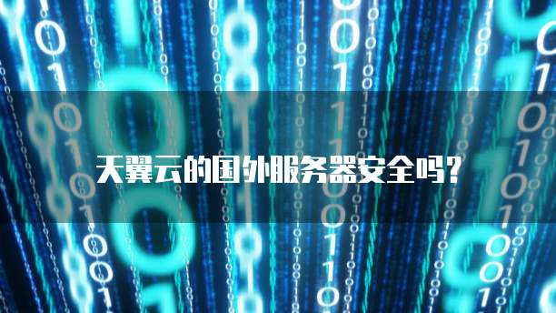 国外服务器续费费用与安全性评估及数据处理服务分析
